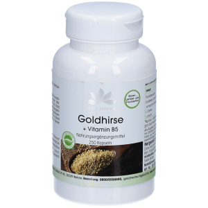 Trova Offerte di warnke vitalstoffe - miglio dorato + vitamina b5 250 pz capsule e compra online