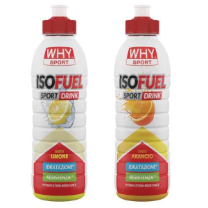 whysport acqua naturale 500ml bugiardino cod: 975044900 