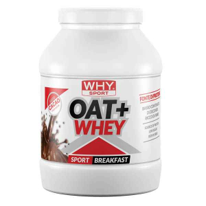 whysport oat+whey cacao 750g bugiardino cod: 975419300 