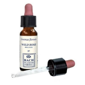 wild rose original 10ml gocce bugiardino cod: 904725456 