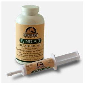 wind aid siringa pasta os 30ml bugiardino cod: 904296670 