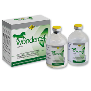 wondercef fl 4g+fl 80ml equini bugiardino cod: 103976041 