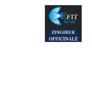zingiber officinal est fl 30ml bugiardino cod: 910245808 