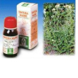 Achillea 50ml
