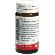 Aconitum compatta 20g gl wala