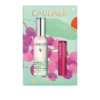 acqua di bellezza cofanetto con acqua di bellezza 30 ml + balsamo labbra colorato 4,5 g in omaggio