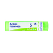 Actaea racemosa 5ch 80gr 4g
