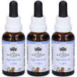 Agitation & calm 30 ml 3x30 ml