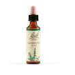 Agrimony bach orig 20ml