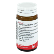 Agropyron compatta 20g gl wala