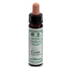 Ainsworths cerato 10ml