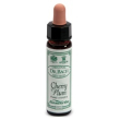 Ainsworths cherry plum 10ml