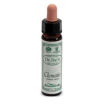 Ainsworths clematis 10ml