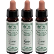 Ainsworths dr.bach n°13 gorse ulex europaeus 3x10 ml