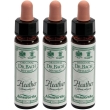 Ainsworths dr.bach n°14 heather 3x10 ml