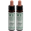 Ainsworths dr.bach n°2 aspen populus tremula gocce 2x10 ml