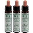 Ainsworths dr.bach n°2 aspen populus tremula gocce 3x10 ml