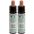 Ainsworths dr.bach n°27 rock water 2x10 ml
