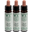 Ainsworths dr.bach n°27 rock water 3x10 ml