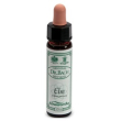 Ainsworths elm 10ml
