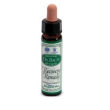 Ainsworths flower remedy set40