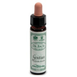 Ainsworths gentian 10ml