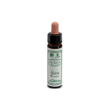 Ainsworths gorse 10ml