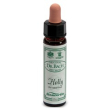 Ainsworths holly 10ml