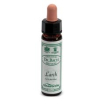 Ainsworths larch 10ml