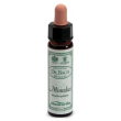 Ainsworths mimulus 10ml