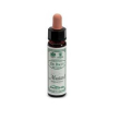 Ainsworths mustard 10ml