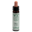 Ainsworths olive 10ml
