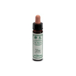 Ainsworths pine 10ml