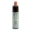 Ainsworths rock rose 10ml