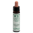 Ainsworths scleranthus 10ml