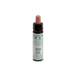 Ainsworths wild oat 10ml