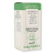 Alchemilla 60ml gocce