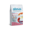 Alleva equilibrium cat kitten chicken kg 10 - p61016