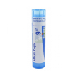 Allium cepa 9ch gr