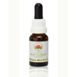 Alpine mint bush essenza 15ml