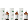 Alta natura olio di germe grano soluzione orale 3x100 ml