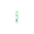 Ambra grisea 5ch gr