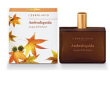 Ambraliquida acqua prof 100ml