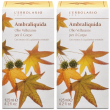 Ambraliquida olio vellutante corpo 125 ml 2x125 ml