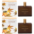 Ambraliquida profumo 100 ml 2x100 ml