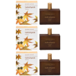Ambraliquida profumo 100 ml 3x100 ml