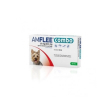 Amflee combo 1 pipette 67mg+60,3mg