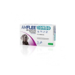 Amflee combo 3pip402mg+361,8mg