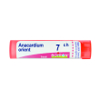 Anacardium orient 7ch gr
