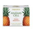 Erbamea ananas cell tisana biologica 20 bustine filtro monodose